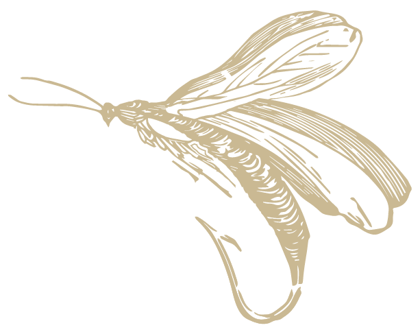 Stonefly Grill
